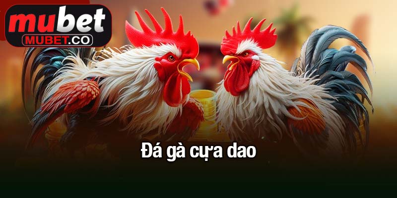 Đá gà cựa dao - Trận đấu kịch tính, cược thông minh 3 Đá gà cựa dao